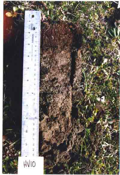 soil photo