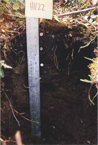 soil photo