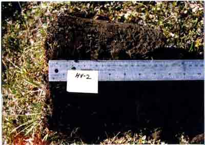 soil photo