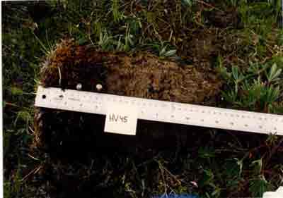 soil photo