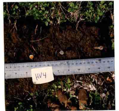 soil photo