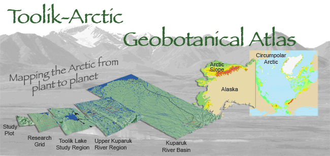 geobotany ... is the intersection between vegetation science, geology, and geography