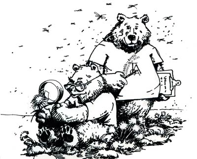 Toolik Bears collecting data; drawn by John Adams 1991 ©