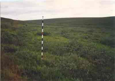 landscape photo