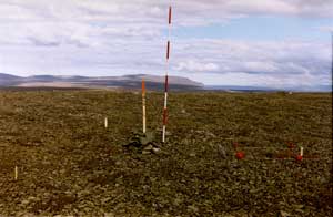 Figure 1. Vegetation plot layout.