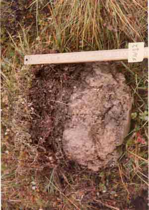 soils photo sw-12a