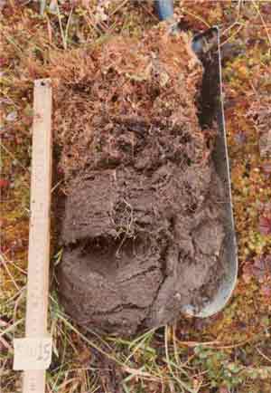 soils photo sw-15a