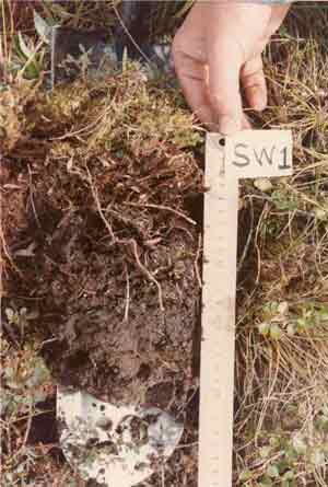 soils photo sw-1a.jpg