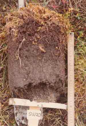soils photo sw-20a