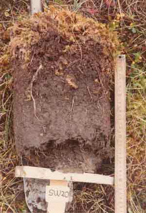 soils photo sw-20a