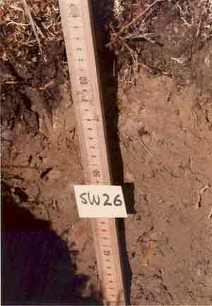 soils photo sw-26a
