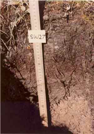 soils photo sw-27a