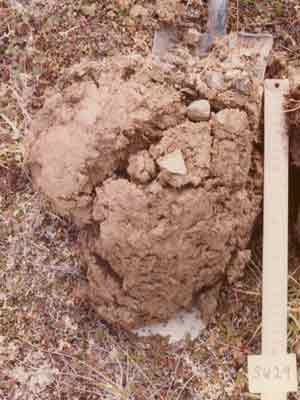 soils photo sw-29ba