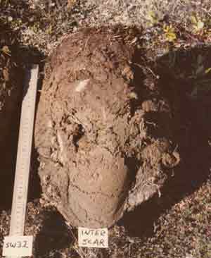 soils photo sw-32aa