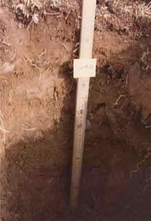 soils photo sw-40a