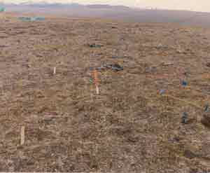 general site photo