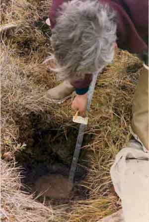 soils photo sw-45a