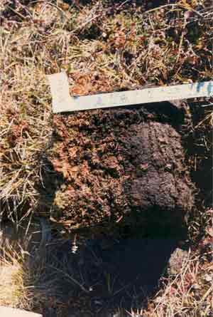 soils photo sw-46a