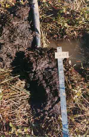 soils photo sw-49a