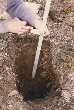 soils photo sw-52a