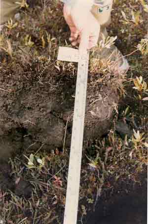 soils photo sw-56a