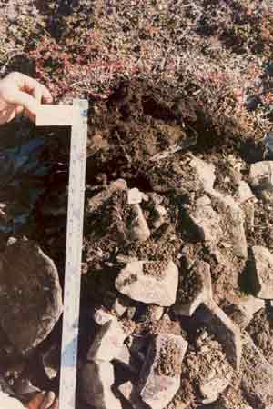 soils photo sw-60a