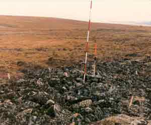 general site photo