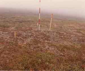 general site photo