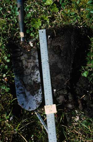 soils photo