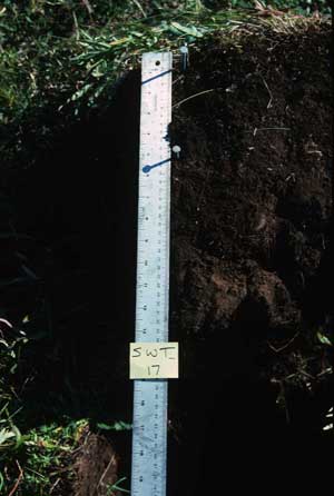 soils photo