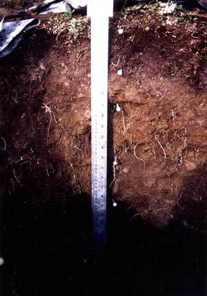 soils photo