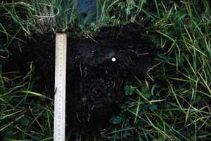 soils photo