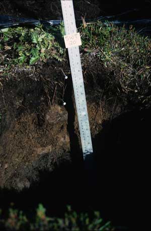 soils photo