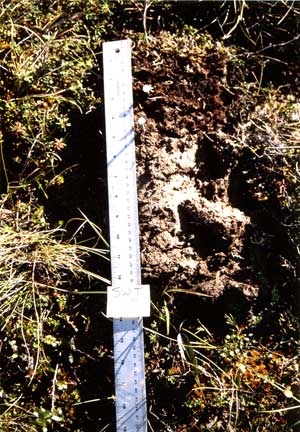 soils photo