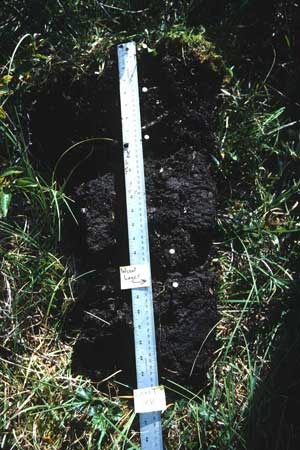 soils photo