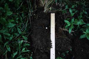 soils photo