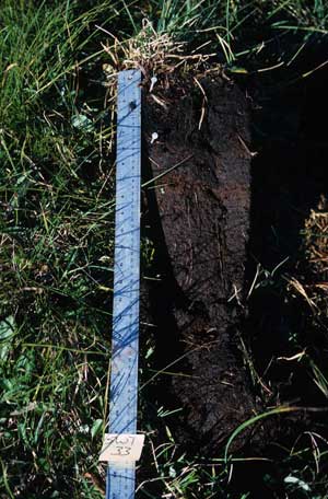 soils photo