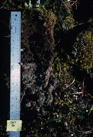 soils photo