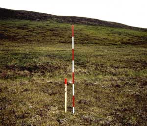 general site photo