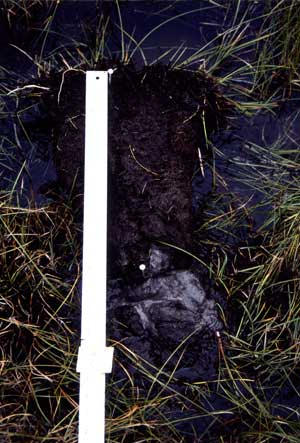 soils photo