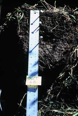 soils photo