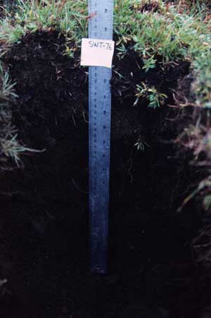 soils photo